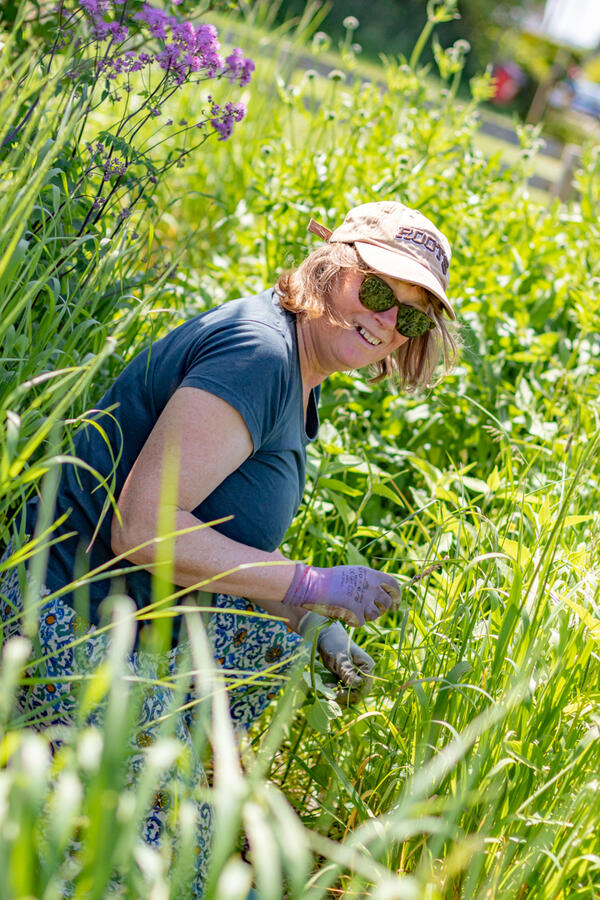 A gardener in lush green plot, looking at the camera, smiling