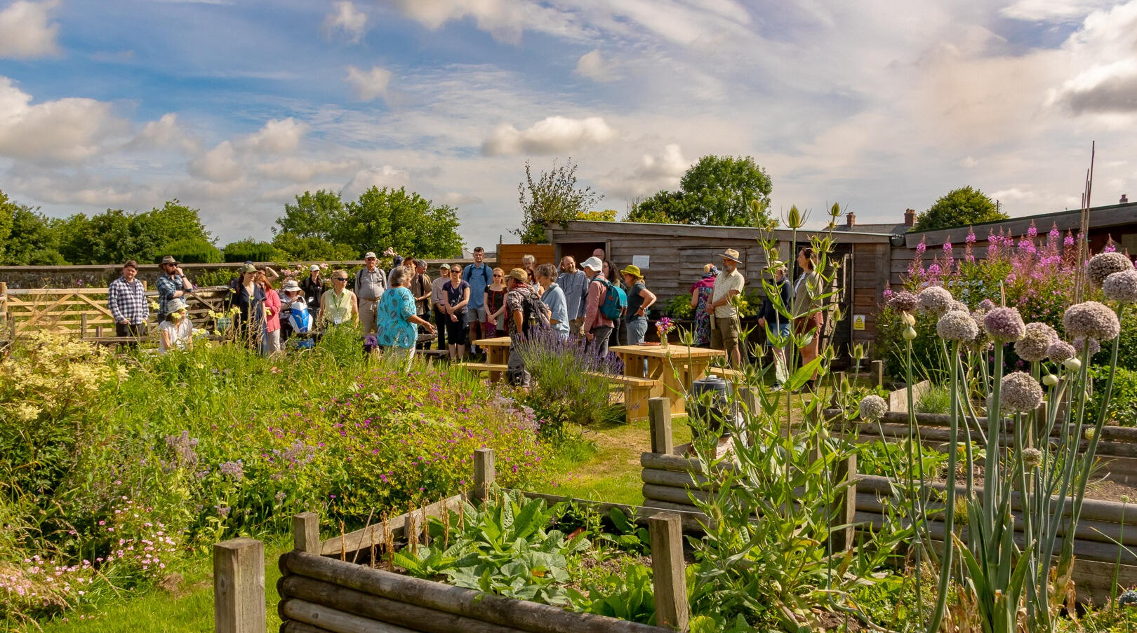 Visitors in the summer 2025